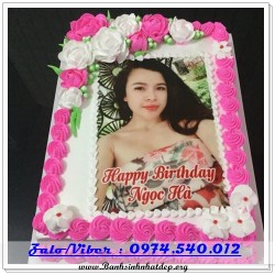 Mẫu Bánh Sinh Nhật Đẹp - A1024